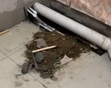 清水河卫生间漏水检测哪家好
