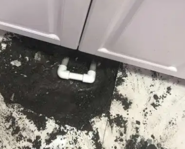 清水河查漏水哪家好